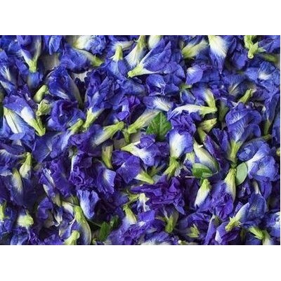 Butterfly Pea Flower